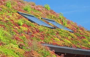Merrion living roof systems